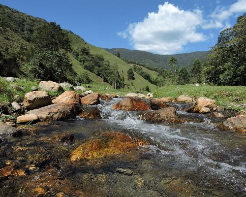 FotografoFoto Alcaldía de Medellín:Con estrategias de protección y conservación de ecosistemas, Medellín ratifica su compromiso de Ecociudad con el planeta.